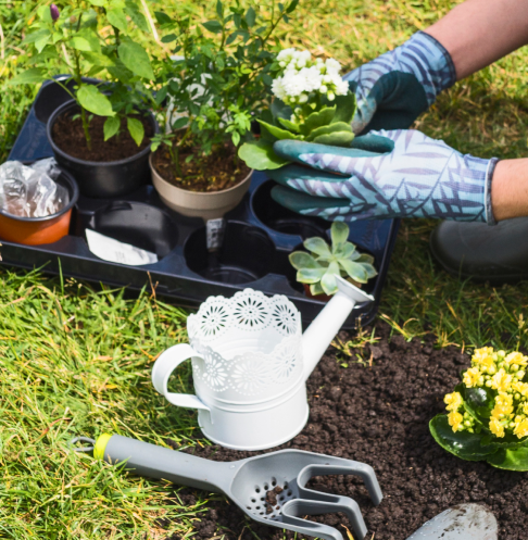 optikabin hakkında görsel2 kamp ve karavan malzemeleri